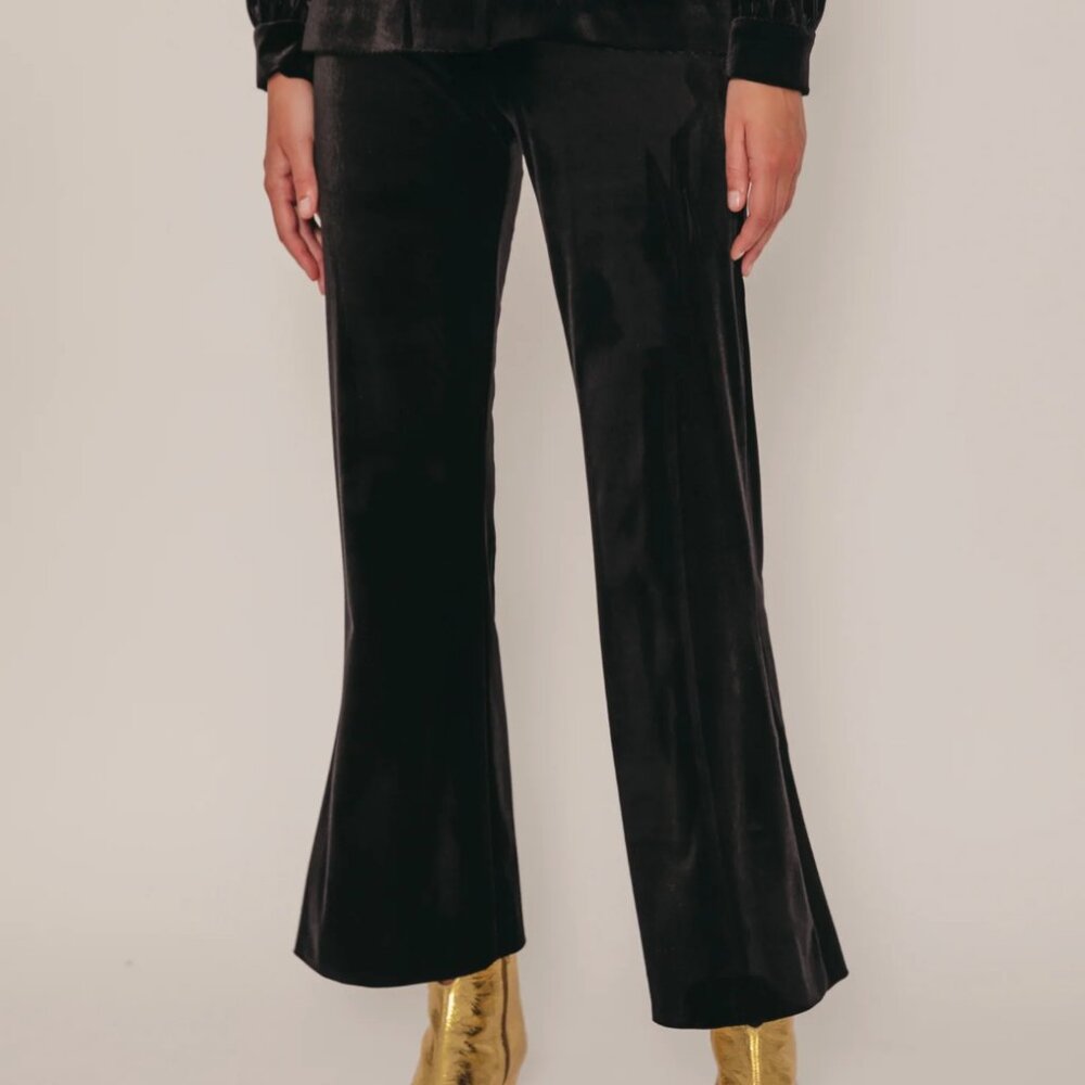 BNWT Cherubina Bush Velvet Pants XXS